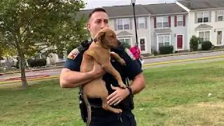 Seeking Virginia Certified Officers