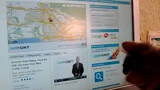 Kitten loves Local Ad Link