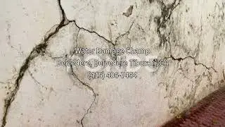 Water Damage Restoration Belvedere Belvedere Tiburon CA | Water Damage Champ