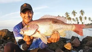 Pesca de PARGOS sobre ROCAS||pesca con vinilos