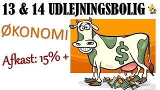 &Oslash;konomi 13 & 14 Udlejningsboliger - Afkast ca. 15%