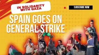 'Only the People Save the People' - Spain Goes on General Strike against Genocide in Gaza