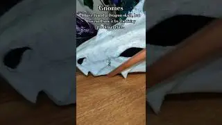 Gnomes I found something! VIC: @Forkscales  #dragonpuppets #paperdragons #dragon #fyp #funny