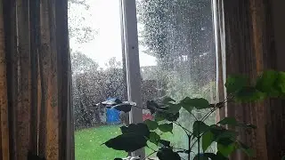 RAIN Encore ASMR is live