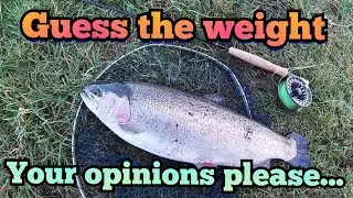 BIG FISH!!! UK Stillwater Trout fishing...