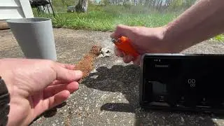 Testing Homemade vs Store-Bought Fire Starters / DIY Camping Survival Gear