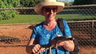 Broome Crocodiles