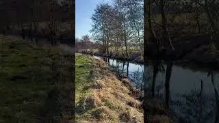 Поле, ручей.Feld, Bach.Field, stream. #butterfly #birdingparadise #nature #birdsong #wildlife