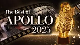 Best of Apollo 2025