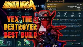CRAZY Damage VEX THE DESTROYER BUILD - STICKY BOD GOD ROLL!