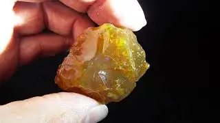 225ct Golden Yellow Brown Mexican Opal Rough - GREAT FIRE