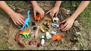 💦 MUDDY BUDDIES! Wild Animals in Mud & Wash Time Fun  Kids Learning Video