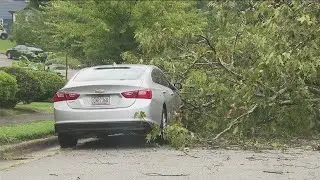 Yes, property owners are responsible for fallen trees