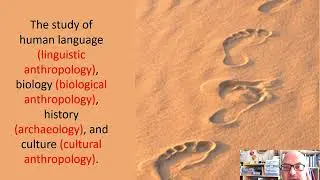 4 Sub-fields of Anthropology. Part 1