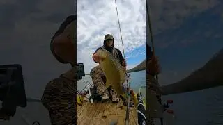 How to Win a Fishing Tournament #shorts