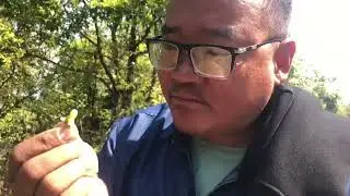 Homestay in jefale with daju bhai haru sanga