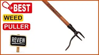✅ Best Weed Puller Amazon In 2023 ✨ Top 5 Reviewed & Buying Guide