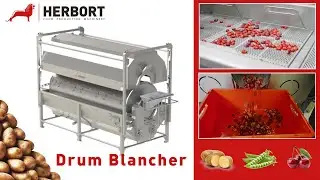 Drum Blancher for Potatoes, Peas, Rice, Cauliflower, Noodles, ... I Herbort
