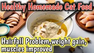 Best Healthy Homemade Cat Food For Hairfall Problem &  Weight Gain & Muscles Improved best