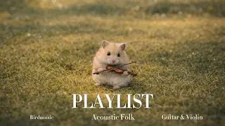 𝑷𝒍𝒂𝒚𝒍𝒊𝒔𝒕 | 기타랑 바이올린 잘 어울리잖아 | Acoustic folk | BirdMusic