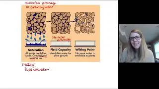 Module 1: Soil-Water Relationships