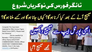 Tiger Force Selection Message | Tiger Force Job Start | Tiger Force New Update