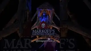 #awesome #cool #video #youtubeshorts #shorts #shortsvideo #shortsvideos #shortsfeed #imagesintheskye