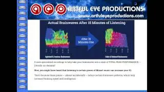 The Brain Evolution System