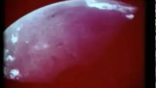 Meals to the Moon | Whirlpool Corporation