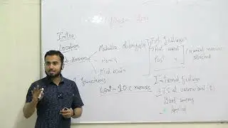 Lecture On Comprehensive Neuroanatomy Lecture: The Brainstem (Medulla, Pons & Midbrain) | MBBS |TSMC