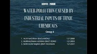 Water Pollution caused by Industrial Inputs of Toxic Chemical - Forum SCO1112 (Group 5)