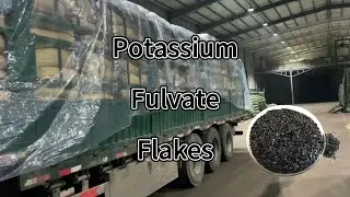 Shipment Alert: Potassium Fulvate Flakes - High-Quality Organic Fertilizer Dispatched 🚚🌿 - HUMICO