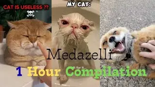 Medazelli TikTok Compilation 1 Hour