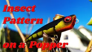 How to paint an Insect Pattern on a Topwater Lure