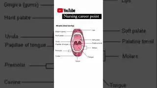 Structure of oral cavity #ytshort #subscribe #oralcavity #shortvideo #shorts