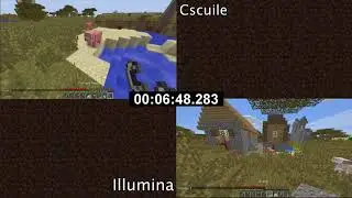 Minecraft Any% Random Seed Glitchless 2 Player Co-op in 