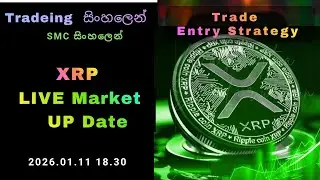 XRP Live Market Update - 2026.01.11 |  Crypto Friends .LK #xrp #rippele #livemarket