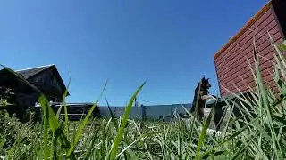 VID 20240529 111104