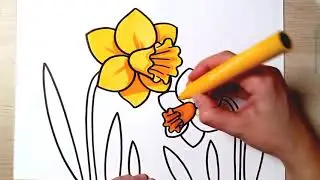 HOW TO DRAW Daffodils - Easy drawing for kids