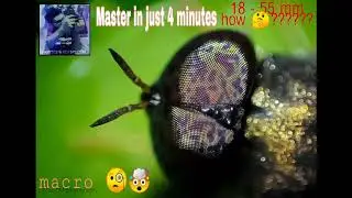 HOW TO BE A MASTER IN MACRO PHOTOGRAPHY || REVERSE LENS TECHNIQUES TUTORIAL | IN BENGALI | just 4min
