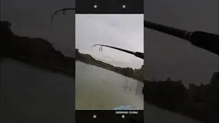 Truchas Embalse  la Cierva