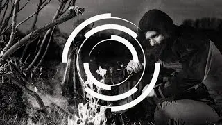 Survival - The Sound [Dispatch]