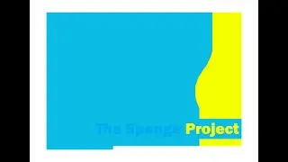 Sponges in Irish waters