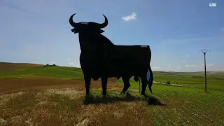 EL TORO - ESPAÑA/SPAIN