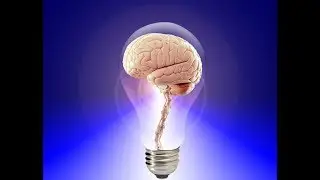 The Reticular Activating System