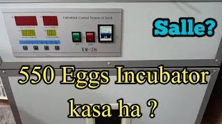 550 Eggs Industrial Incubator Review | Best Quality Poultry  Incubator Hatacher  | Birds Aviaries