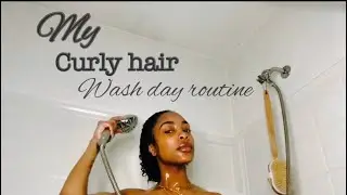 CURLY HAIR WASH DAY ROUTINE | JORDEN JANELLE