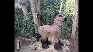 Permafrost Unicorn - Quadsuit