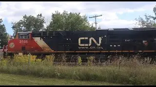 CN  Train 271 Meets CN 3166 & CN 3207 Manifest Train/w CN 3203 As Mid DPU 9/15/23