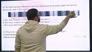 سؤال مهم عن جزئية sarcomere | بيولوجي مراجعة نهائية 2025| Biotricks